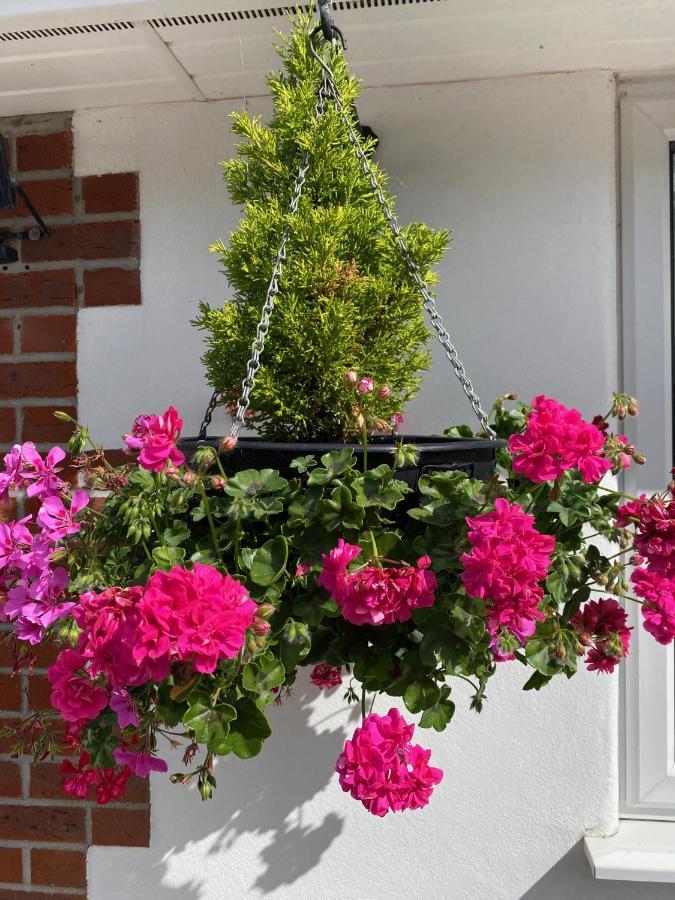 Toppesfield House B&B バッド エクステリア 写真
