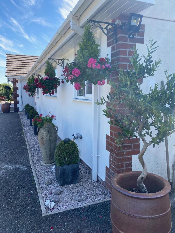 Toppesfield House B&B バッド エクステリア 写真
