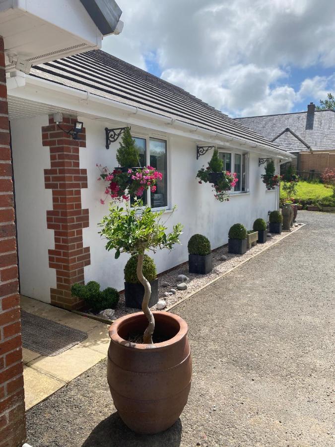 Toppesfield House B&B バッド エクステリア 写真