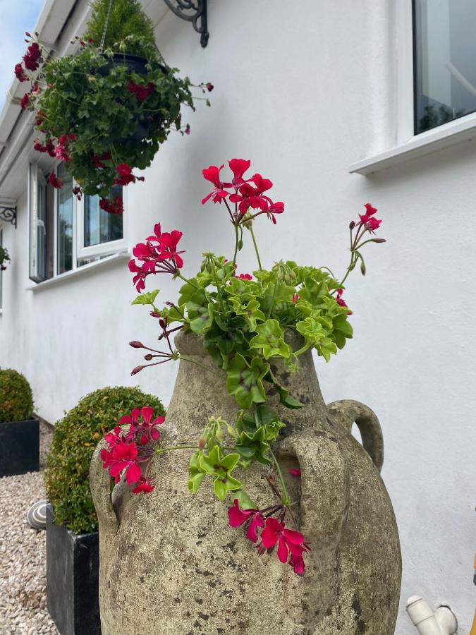 Toppesfield House B&B バッド エクステリア 写真