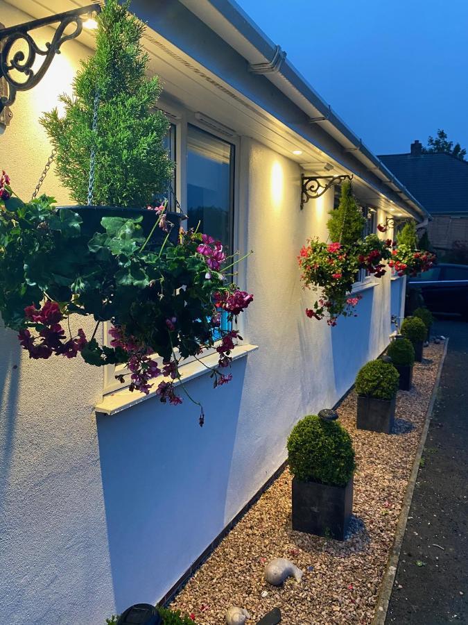 Toppesfield House B&B バッド エクステリア 写真