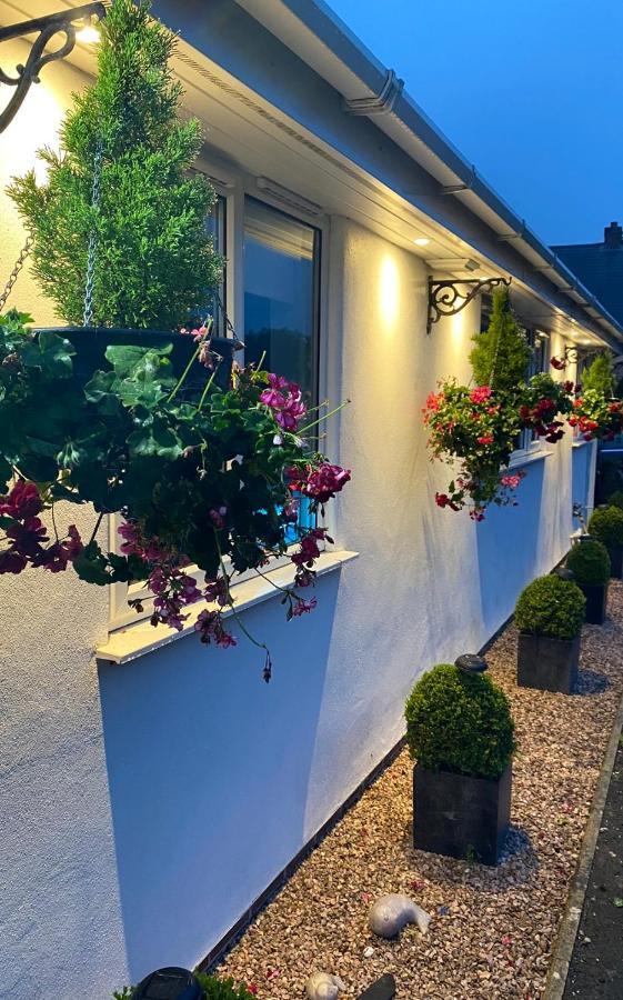 Toppesfield House B&B バッド エクステリア 写真