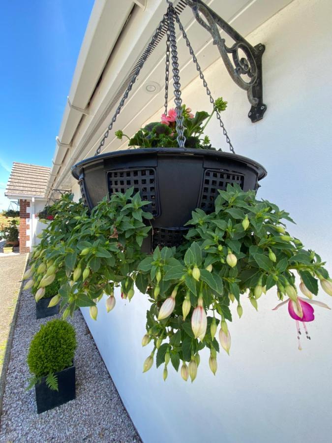 Toppesfield House B&B バッド エクステリア 写真