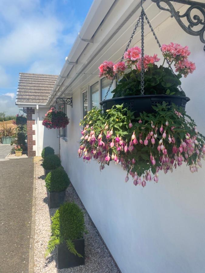 Toppesfield House B&B バッド エクステリア 写真