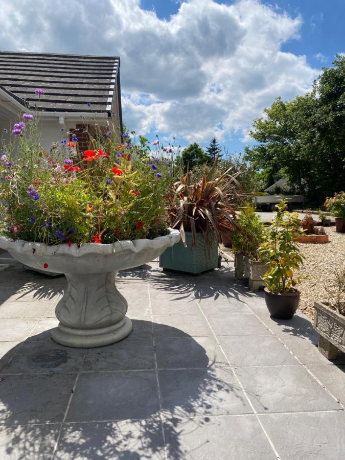 Toppesfield House B&B バッド エクステリア 写真